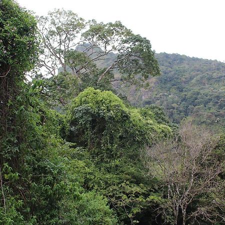 Mamallena Eco Lodge La Laguna de San Carlos Buitenkant foto