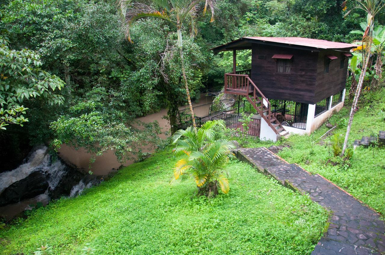 Mamallena Eco Lodge La Laguna de San Carlos Kamer foto