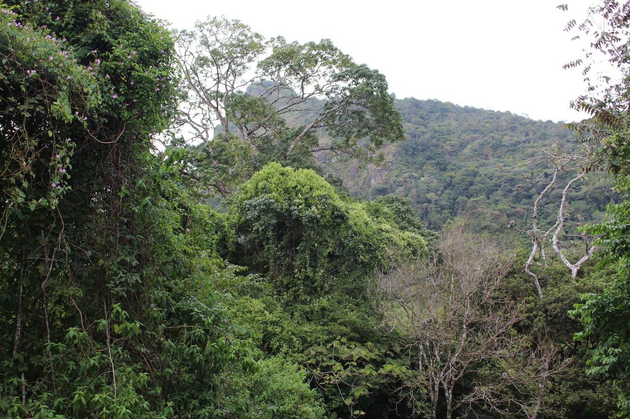 Mamallena Eco Lodge La Laguna de San Carlos Buitenkant foto