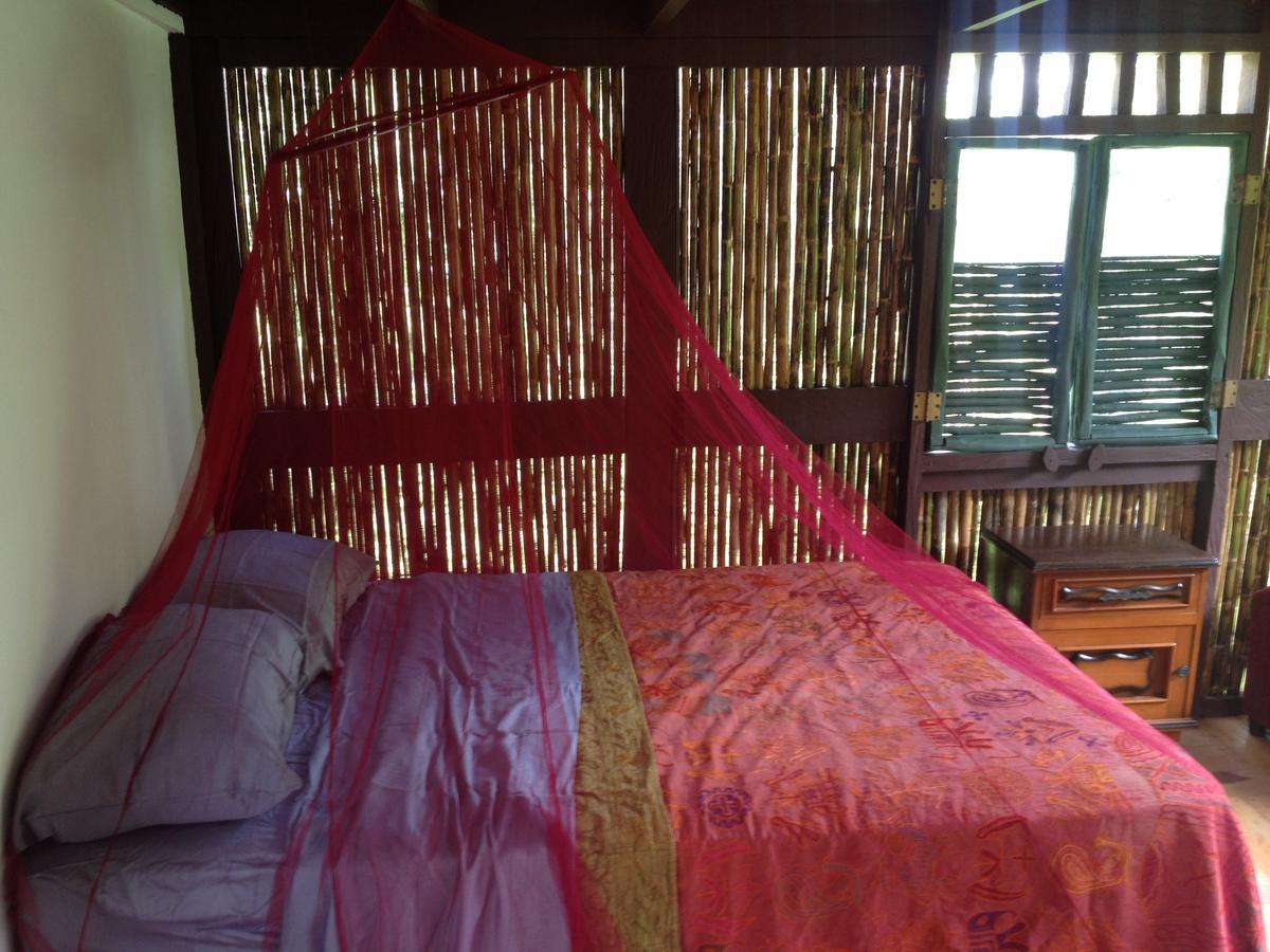 Mamallena Eco Lodge La Laguna de San Carlos Buitenkant foto