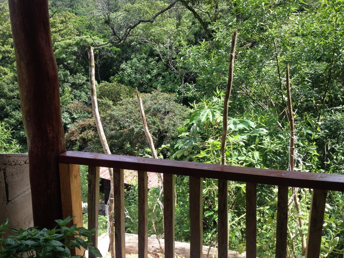 Mamallena Eco Lodge La Laguna de San Carlos Buitenkant foto
