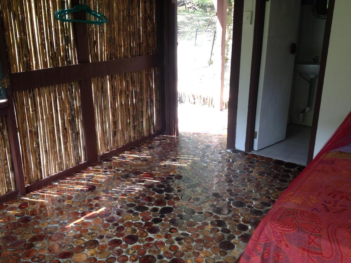 Mamallena Eco Lodge La Laguna de San Carlos Buitenkant foto